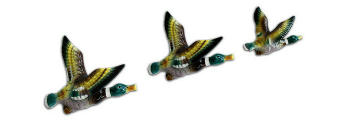 Ducks
