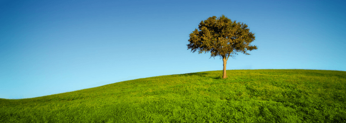 Mindfulness