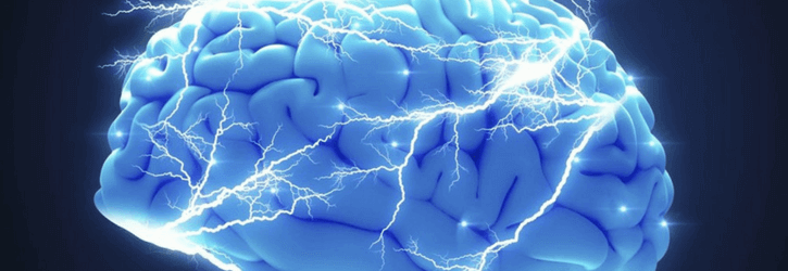 Brain 1
