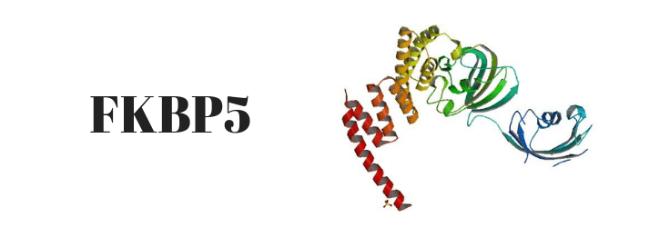 FKBP5