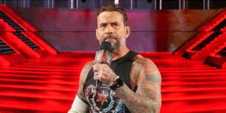 Everything You Need To Know About CM Punk His Love Affairs in WWE