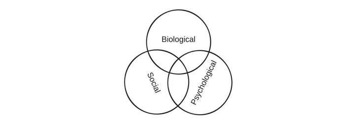 Venn Diagram