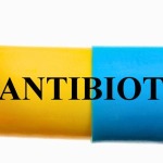 Antibiotic capsule