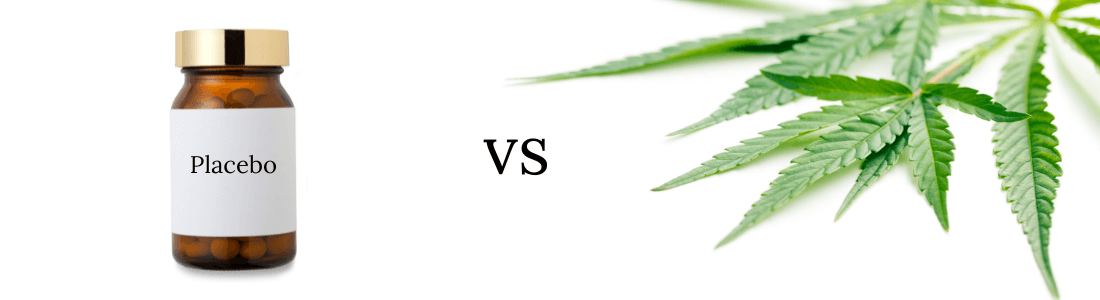 Placebo vs Cannabis